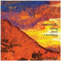 Tindersticks : Falling Down a Mountain